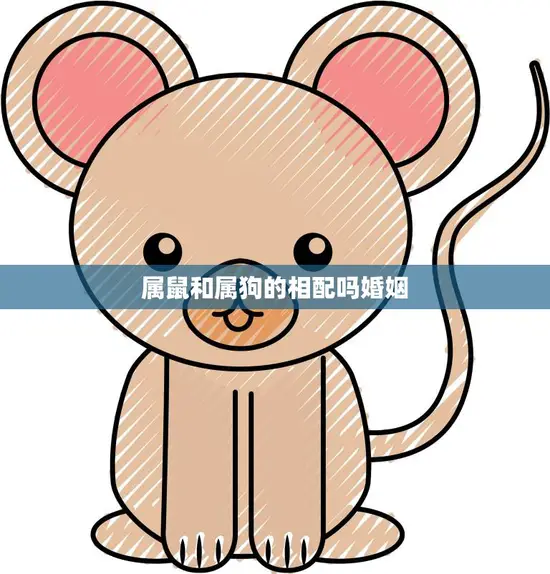 属鼠和属狗的相配吗婚姻(如何搭建幸福家庭)