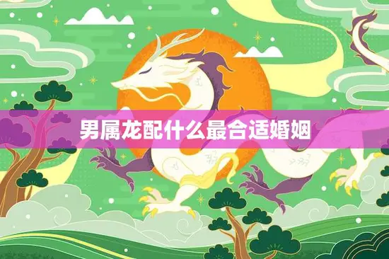 男属龙配什么最合适婚姻(如何选择最佳伴侣)