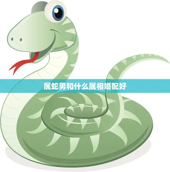 属蛇男和什么属相婚配好(最佳婚配星座大揭秘)