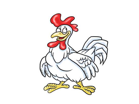 属鸡的女生和什么属相合(最佳配对大揭秘)