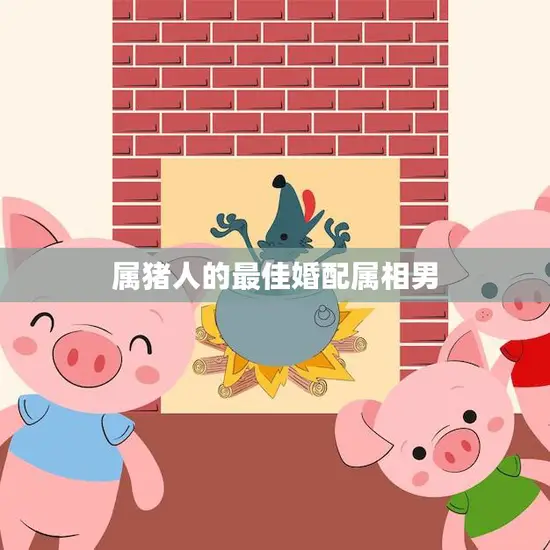 属猪人的最佳婚配属相男(如何选择)