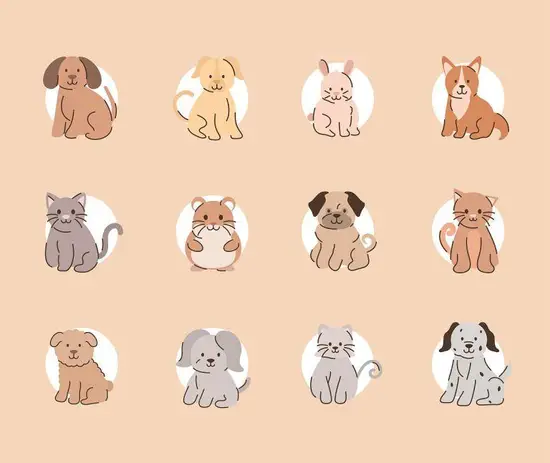 12生肖对应时辰的读法(探秘你的时辰对应哪个生肖)