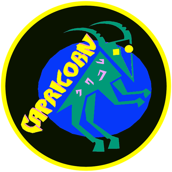 2024摩羯座全年运势(事业财运双丰收)