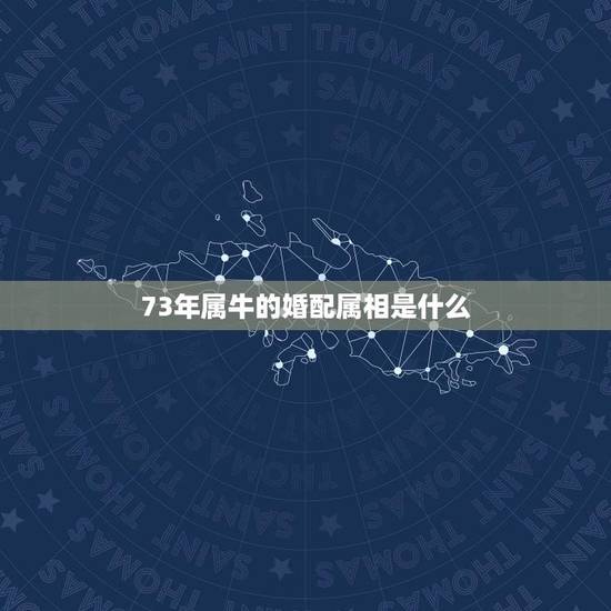 73年属牛的婚配属相是什么(详解属牛人的婚姻运势)