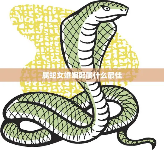 属蛇女婚姻配属什么最佳(如何选择最适合的伴侣)