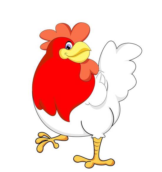 生肖鸡2024年全年运势(事业财运双丰收)