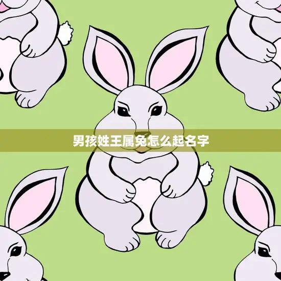 男孩姓王属兔怎么起名字(如何选择适合的名字)