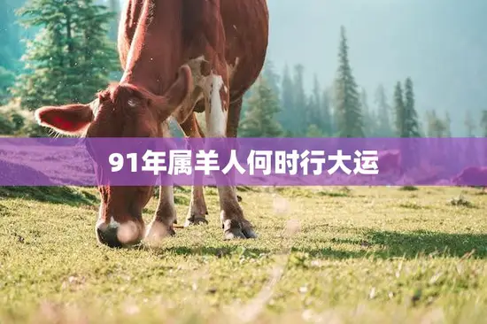 91年属羊人何时行大运(大运何时到)