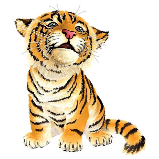 1999年虎年是什么命(解析命运与性格特点)