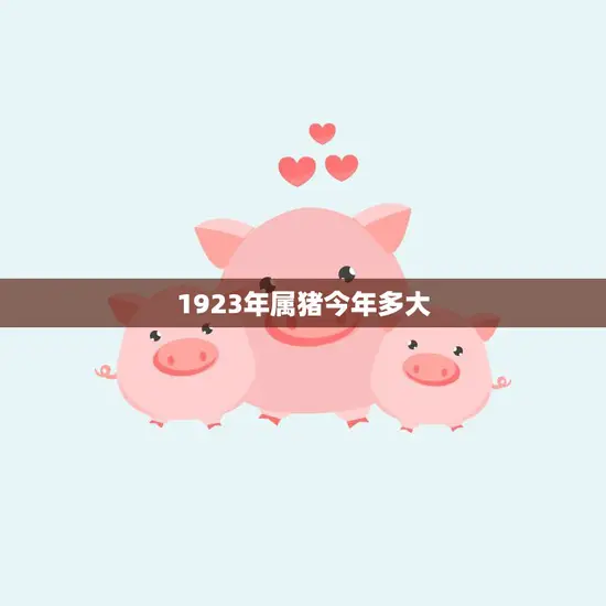 1923年属猪今年多大(猪年返老还童属猪人迎来88岁大寿)