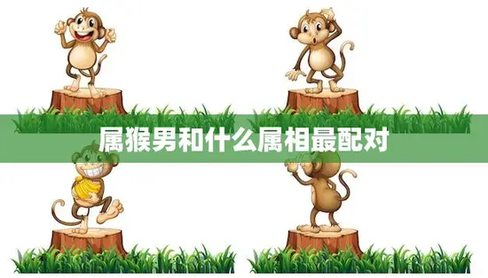 属猴男和什么属相最配对(最佳配对星座大揭秘)
