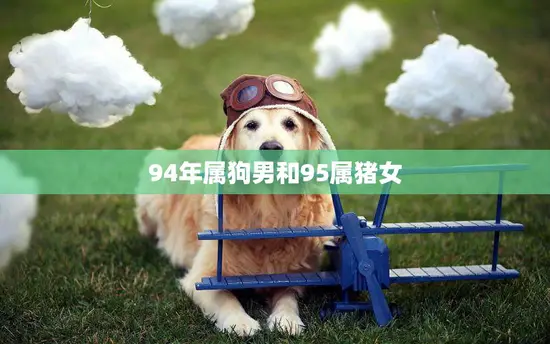 94年属狗男和95属猪女(爱情路上的奇妙邂逅)