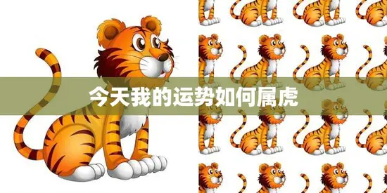 今天我的运势如何属虎(探寻属虎人今日的运势表现)