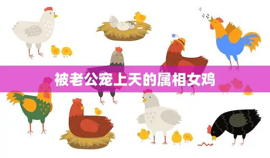 被老公宠上天的属相女鸡(幸福的秘诀是什么)