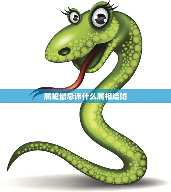属蛇最忌讳什么属相结婚(揭秘属蛇的婚姻禁忌)