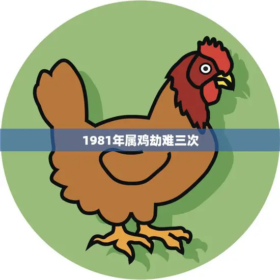 1981年属鸡劫难三次(属鸡人命运多舛三次劫难揭示命运真相)