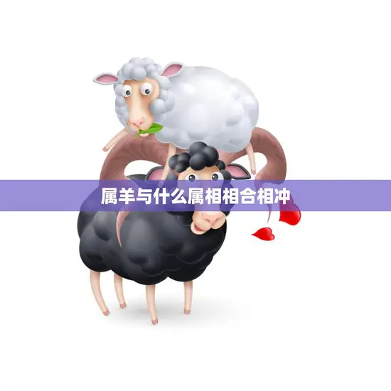 属羊与什么属相相合相冲(十二生肖配对大揭秘)