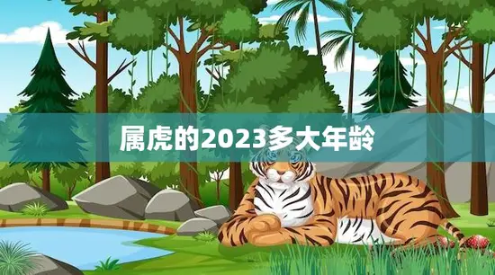 属虎的2023多大年龄(猛虎出山迎接新时代)