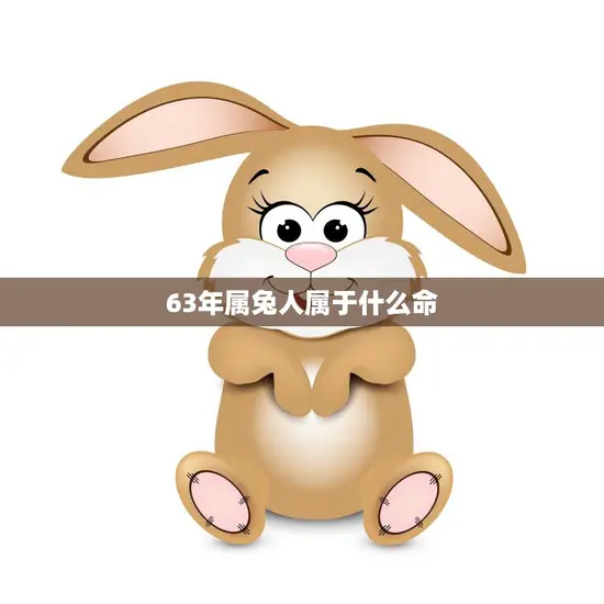 63年属兔人属于什么命(解析兔年出生的人运势如何)