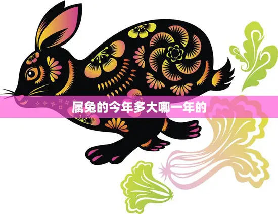 属兔的今年多大哪一年的(兔年生肖年龄计算方法详解)