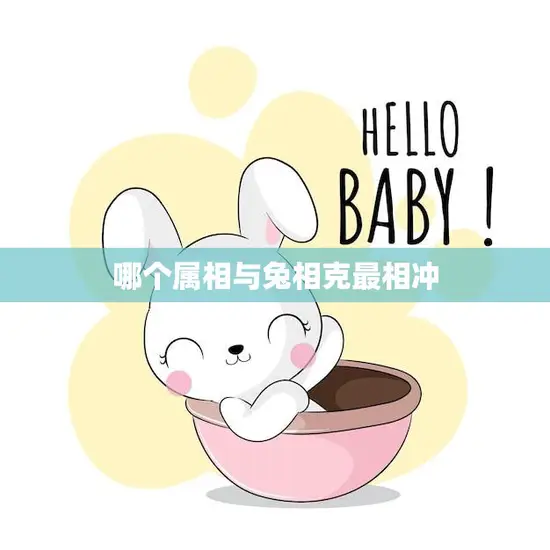 哪个属相与兔相克最相冲(揭秘十二生肖相克关系)