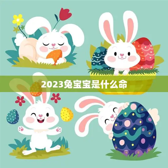 2023兔宝宝是什么命(解析兔宝宝的性格特点与未来趋势)