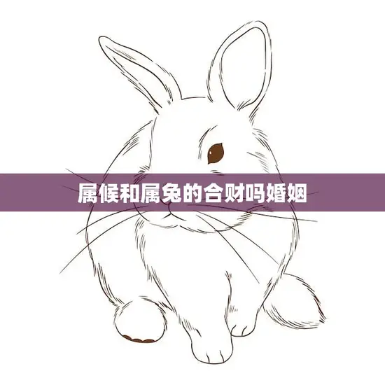 属候和属兔的合财吗婚姻(如何避免婚姻危机)