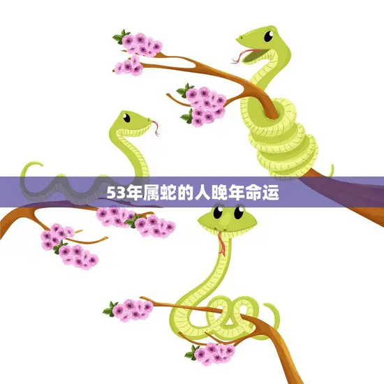 53年属蛇的人晚年命运(如何预测和改变)