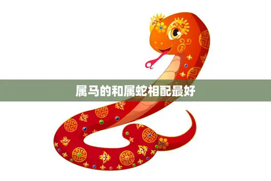 属马的和属蛇相配最好(解读属马和属蛇的性格特点及相处之道)