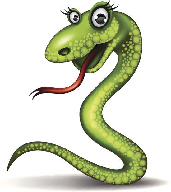 属蛇的能和属蛇的结婚吗(解析属相相同的婚姻是否可行)