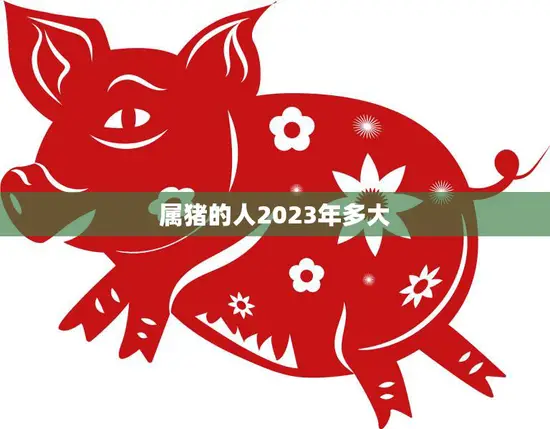 属猪的人2023年多大(猪年再临猪宝宝们即将迎来36岁的大关键)