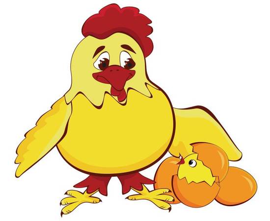 属鸡几点出生最好命女孩(如何选择最佳出生时间)