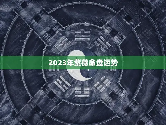 2023年紫薇命盘运势(繁华落尽新生之始)