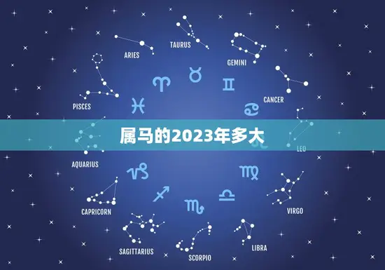 属马的2023年多大(马儿迎来本命年年龄增长一岁)