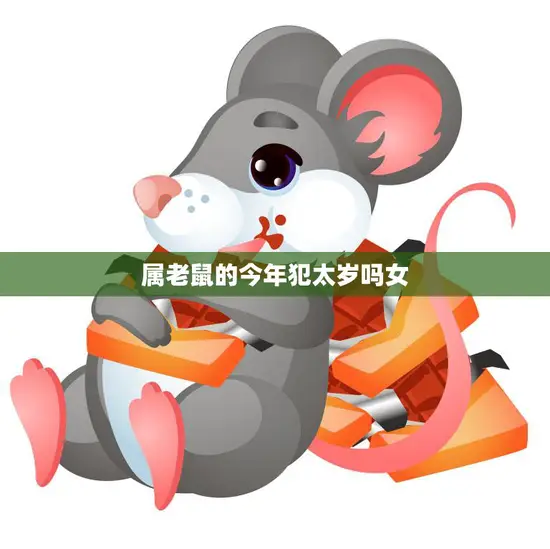 属老鼠的今年犯太岁吗女(如何化解犯太岁的厄运)