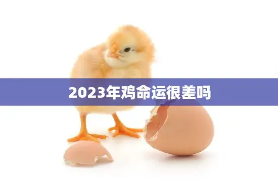 2023年鸡命运很差吗(解析鸡年人运势不佳的原因分析)