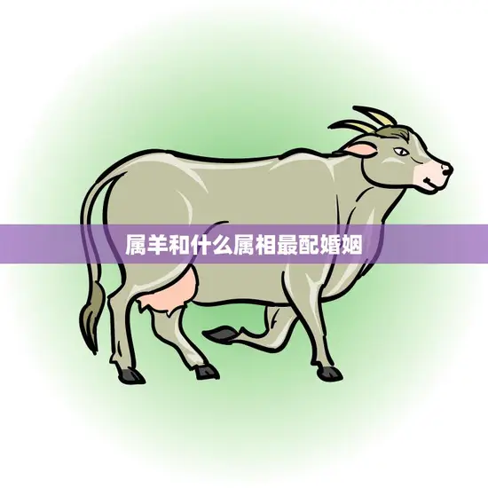 属羊和什么属相最配婚姻(最佳配对大揭秘)
