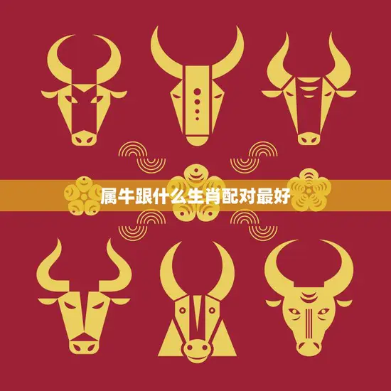 属牛跟什么生肖配对最好(十二生肖中最佳配对大揭秘)