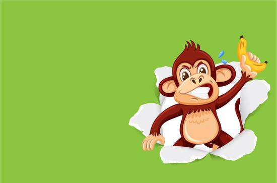 1980年属猴的多少岁(猴年人迎来四十二岁如何度过人生新阶段)