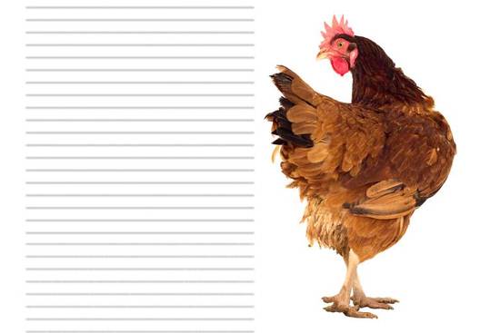 81年鸡人40岁后财运(如何翻身成为财富巨头)