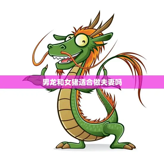 男龙和女猪适合做夫妻吗(探讨星座配对真的靠谱吗)