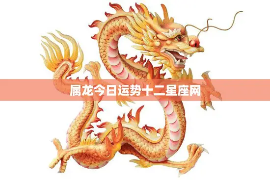 属龙今日运势十二星座网(看看今天的运势如何)
