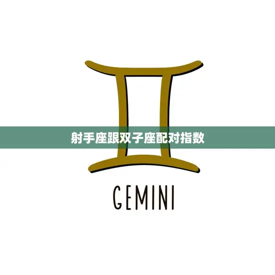 射手座跟双子座配对指数(解析星座专家揭秘)