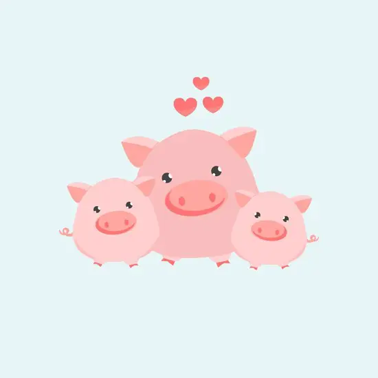 属猪2023年多大虚岁了(猪年生肖属相解析)