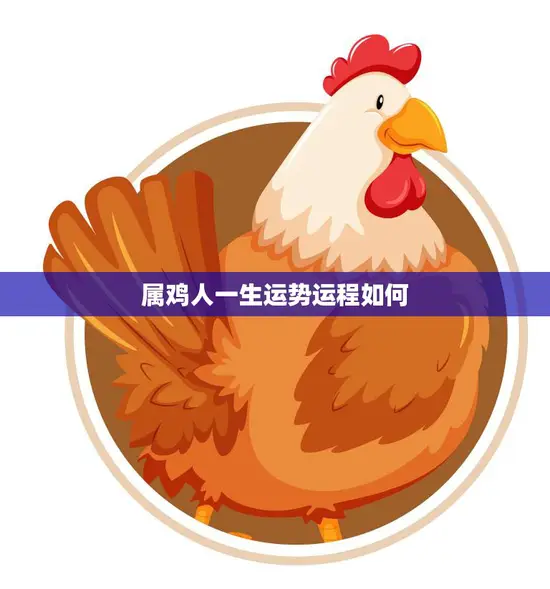 属鸡人一生运势运程如何(解析属鸡人的命运轨迹)