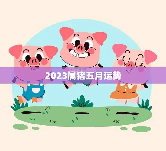 2023属猪五月运势(财运亨通事业顺利感情甜蜜)