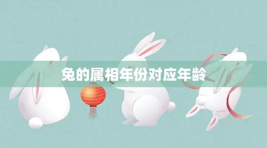 兔的属相年份对应年龄(兔子们的生肖秘密)