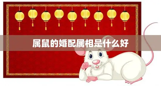 属鼠的婚配属相是什么好(如何选择最佳婚姻伴侣)