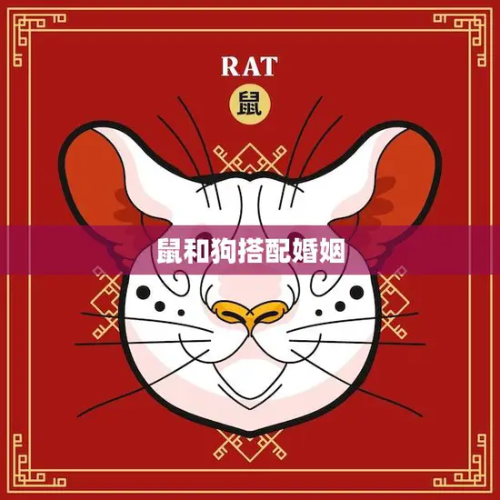 鼠和狗搭配婚姻(幸福无限)