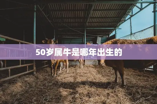 50岁属牛是哪年出生的(解密属牛人的命运与性格)